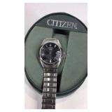 Citizen wrist watch band needs repaired