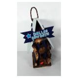 Dallas Cowboys bird house, 17", Seller code L9