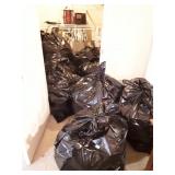 Bedroom Closet Contents in its entirety, 10 big