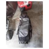 3 Bowling Balls in Travelers Case