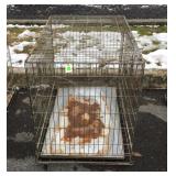 Folding Wire Pet Cage, single door, 42x26x30"
