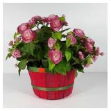 Basket of everlasting flowers