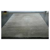 Room rug, shag, 8 x 10, neutral color