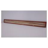 Framed snake skin, 63 x 7 frame