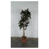 Home Furnishings Artificial Tree in wicker basket