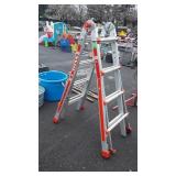 Little Giant Titan Ladder, 250lbs capacity.