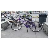 Avalon Bike, 6061, tires holding Air, weathered