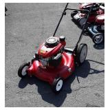 Troy-Bilt 21 inch cut push mower