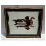 Framed laminated print of Mallard drake and hen,