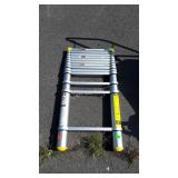 12 1/2 foot telescoping extension ladder type 2