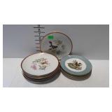 11 Bird plates - seven 8" German, & four 7"