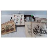 Paper goods- postcards, unframed prints & pictures