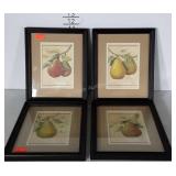 Set of 4 framed 9x11, kitchen type Pear Fruit