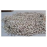 Cowries seashell curtains, two