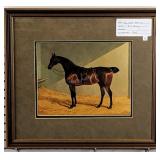 Bay Hunter brownie II print by JF Herring, 16x18