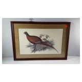Pheasant print, framed and matted with grass cloth