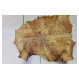 Tanned cow leather - approx. 32x35 has hole in