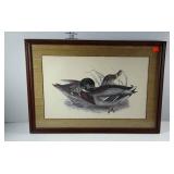 Duck print, signed, framed with grass cloth