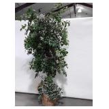 Artificial Tree, 7ft tall, basket planter with