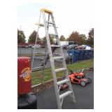 Werner aluminum step ladder 225-pound capacity