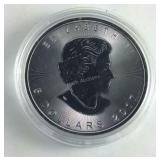 .9999 Fine Proof Canadian Maple Leaf One Ounce