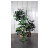 Three Home Goods Everlasting Tree Plants, all 3