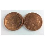 TWO2013 Copper Bullion Coins Representative Of The