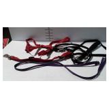 Used dog halter and leads