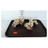 Three pieces of coral