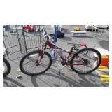 Trex brand bike