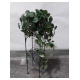 Metal plant stand and live plant