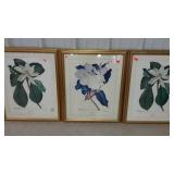 Three framed magnolia prints. Some water damage