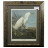 Snowy Heron Giclee By John Audubon print