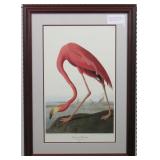 Pink Flamingo Giclee By John Audubon print
