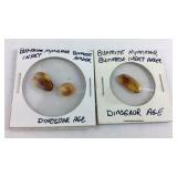 Two amber color stones