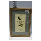 Antique Birds Giclee By John Audubon print. This