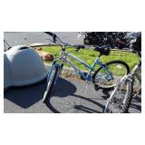 Schwinn Cimarron bike