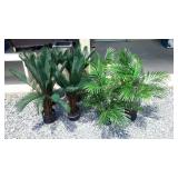 Eight faux houseplants in 1/2 gallon pots. Seller