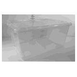 Clearview storage tote with lid