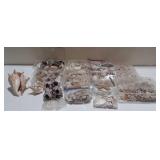 Seashells, Starfish, Sand Dollars, etc.