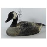 Large, nearly life-size Canada Goose Poly decoy.