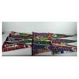 Sports pennants, includes Steelers, Cleveland
