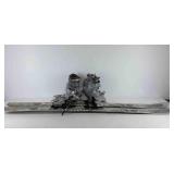 T-nine true luv snow skis with Nordica ski boots