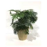 Everlasting palm in poly resin planter, stands