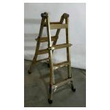 Wernersville adjustable ladder. 13
