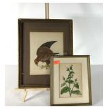Two early framed prints, golden eagle 12x15 and