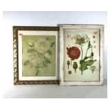 Wall art, framed floral prints, poppies in chippy