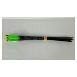 Ten Easton Carbon Raider 65-80 arrows with