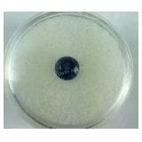Round Sapphire 1.15 ct