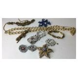Costume jewelry brooch, necklaces